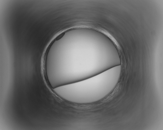 X0000102271101200807250853