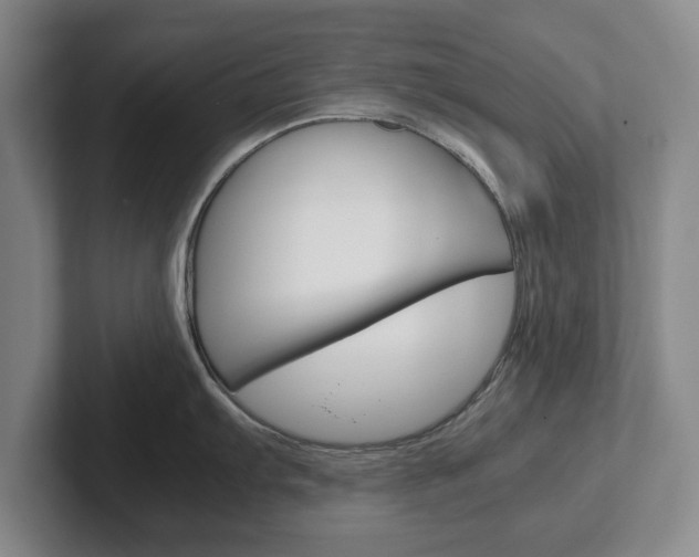 X0000102271103200807250853