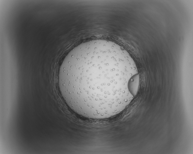 X0000102271105200807250852