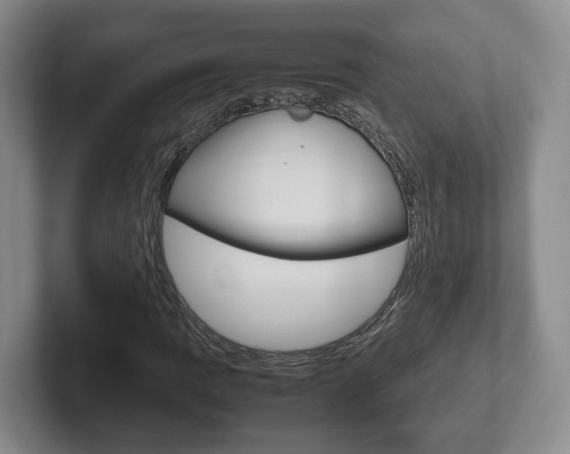 X0000102271109200807250852