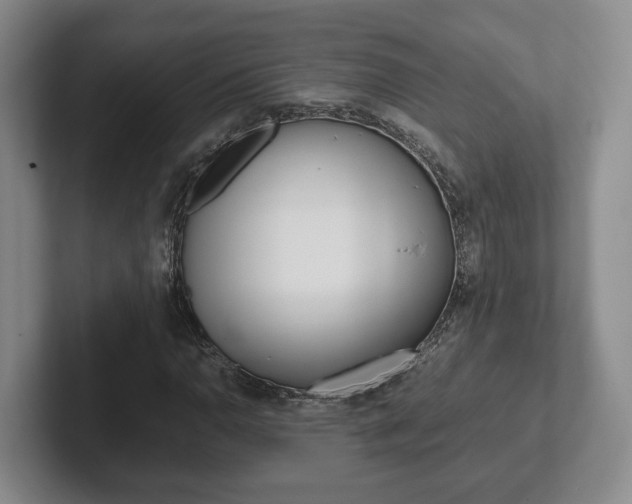 X0000102271110200807250852