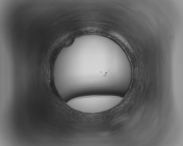 X0000102271111200807250852