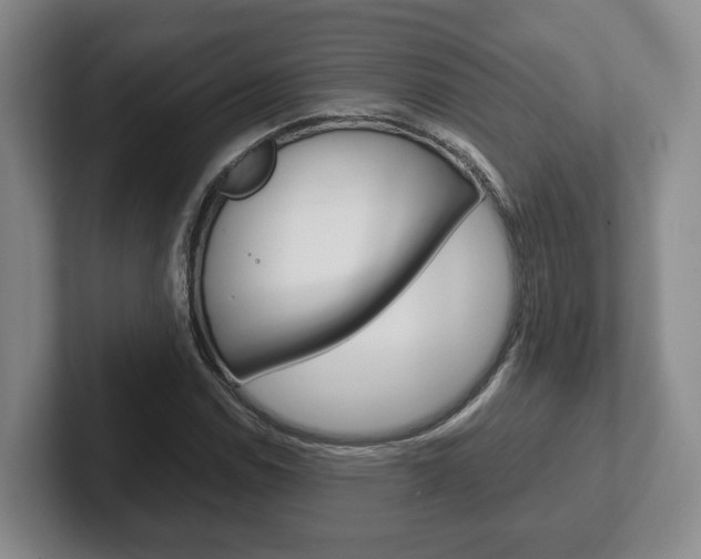 X0000102271114200807250852