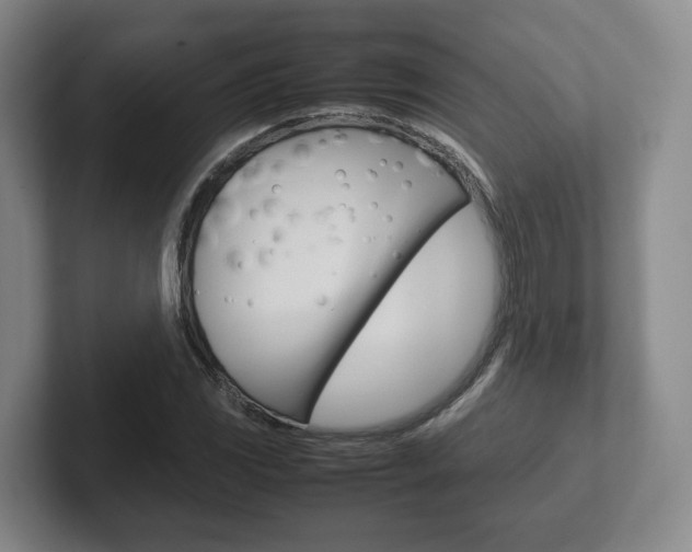 X0000102271117200807250852