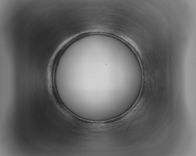 X0000102271120200807250852