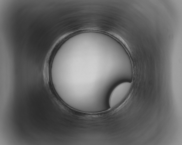 X0000102271123200807250852