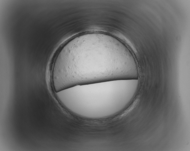 X0000102271125200807250852
