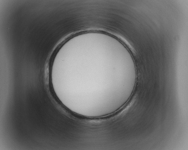 X0000102271126200807250852