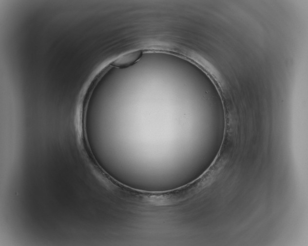 X0000102271128200807250852