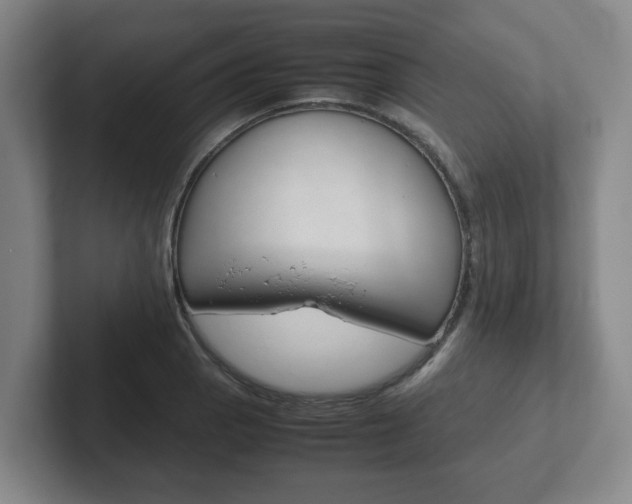 X0000102271129200807250852