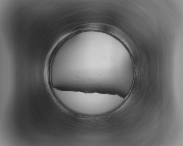 X0000102271131200807250852