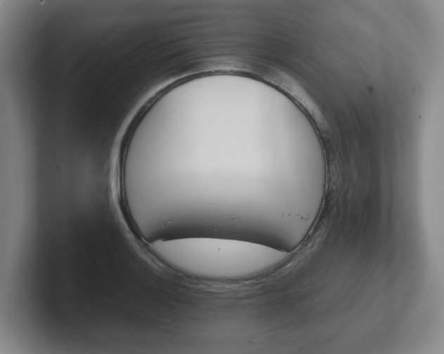 X0000102271132200807250852