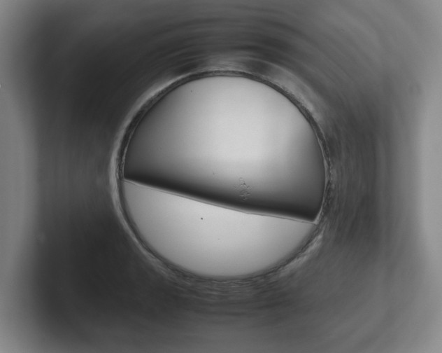 X0000102271133200807250852