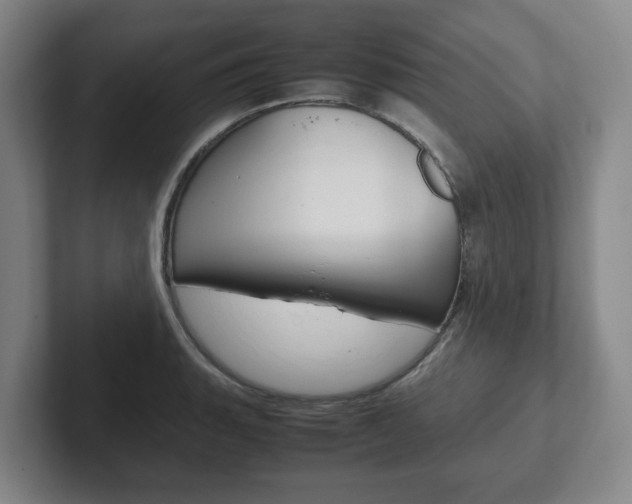 X0000102271135200807250852