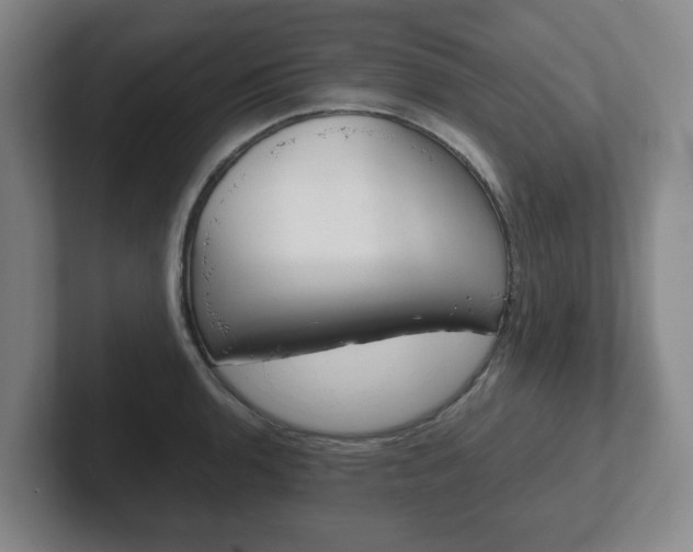 X0000102271136200807250852
