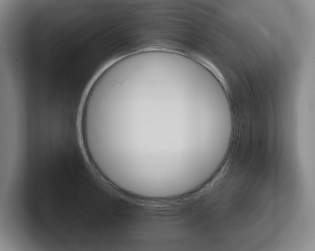 X0000102271138200807250852