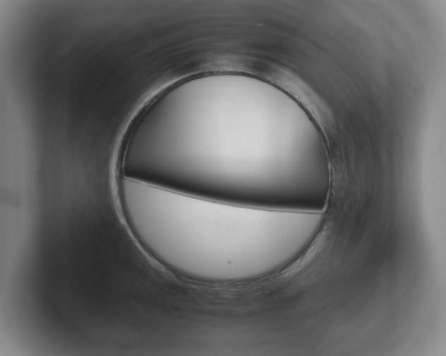 X0000102271141200807250852