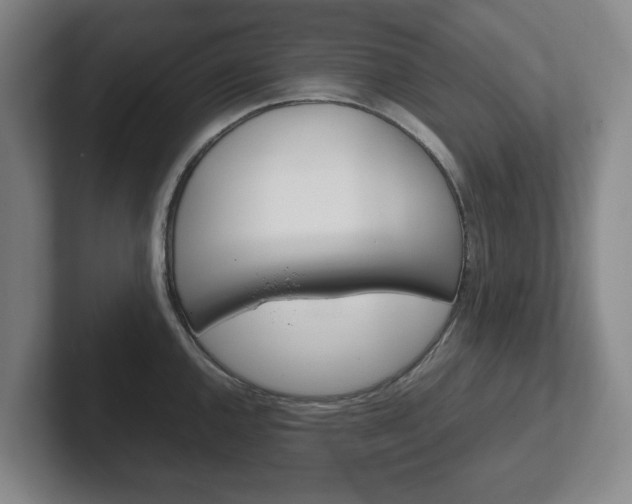 X0000102271144200807250852
