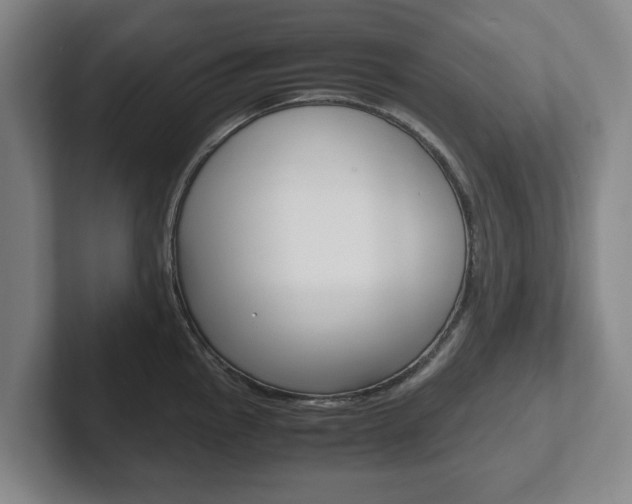 X0000102271145200807250852