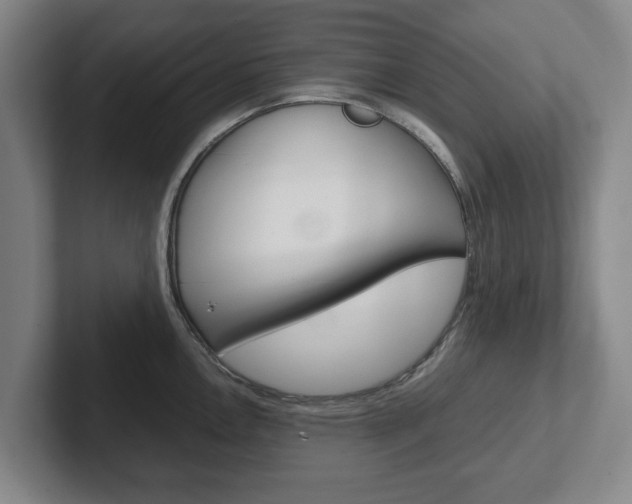 X0000102271146200807250852