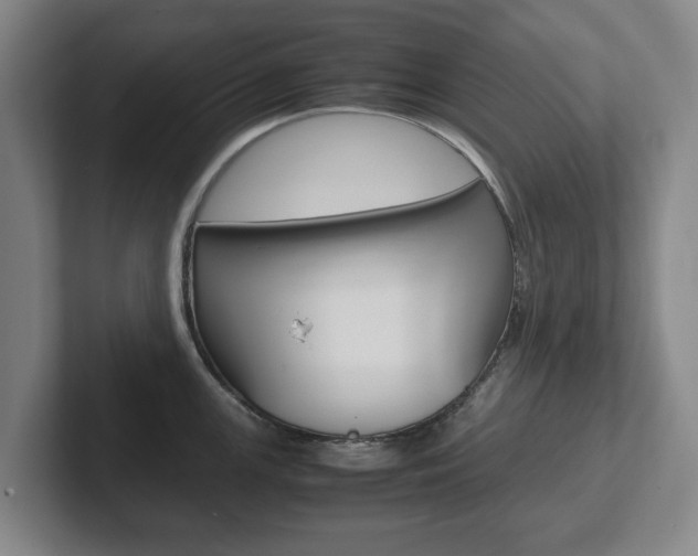 X0000102271147200807250852