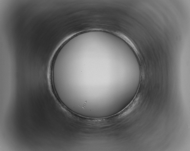 X0000102271149200807250853