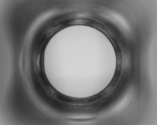 X0000102271150200807250853