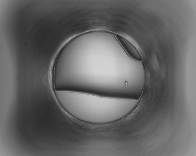 X0000102271151200807250853