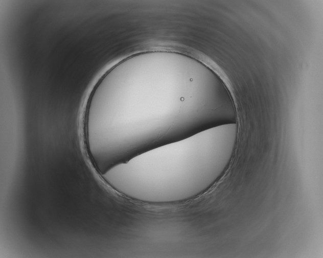 X0000102271152200807250853