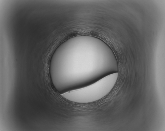 X0000102271153200807250852