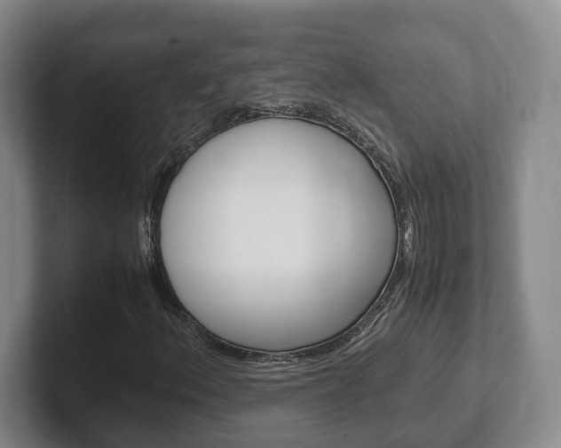 X0000102271156200807250852