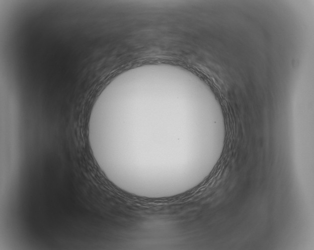 X0000102271157200807250852