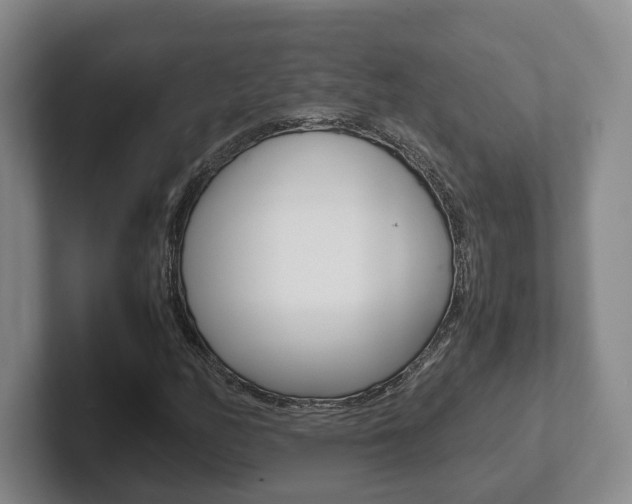 X0000102271158200807250852