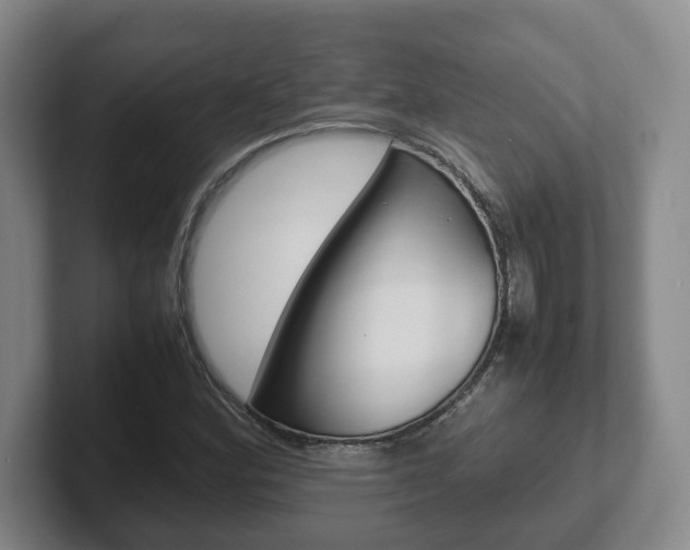 X0000102271164200807250852