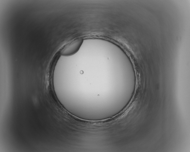 X0000102271165200807250852