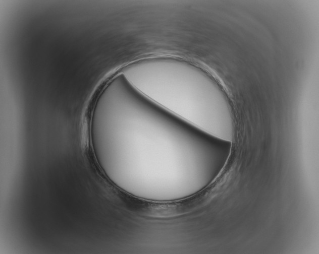 X0000102271171200807250852
