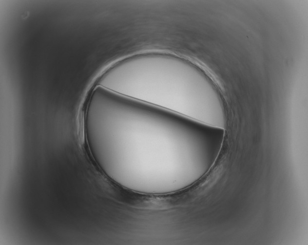 X0000102271175200807250852