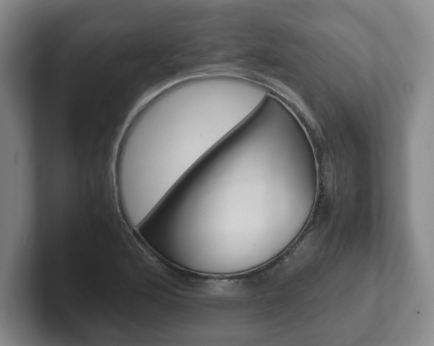 X0000102271176200807250852