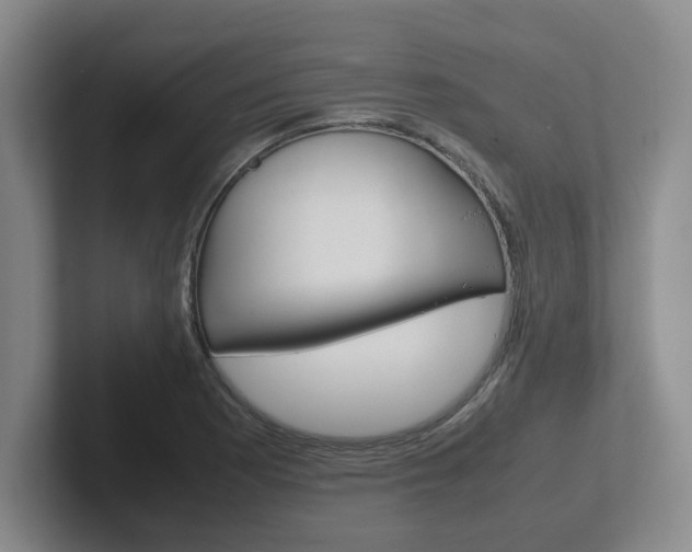 X0000102271177200807250852