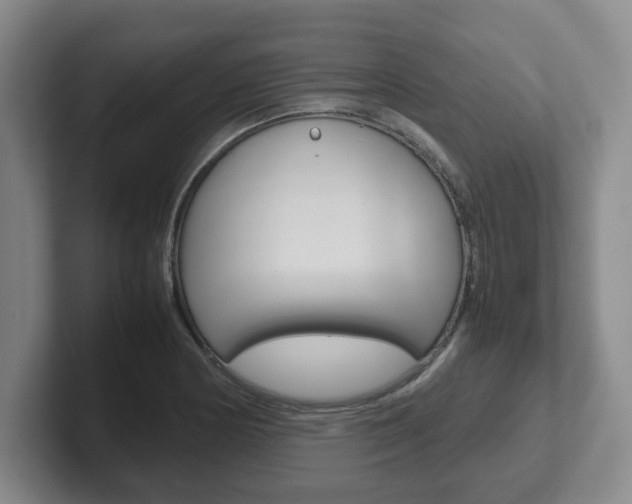 X0000102271178200807250852