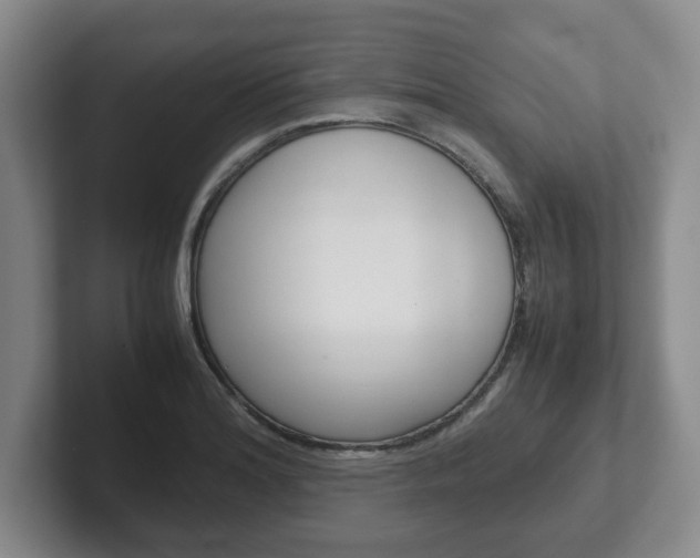 X0000102271180200807250852