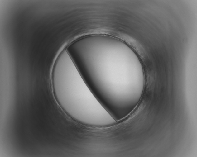X0000102271184200807250852