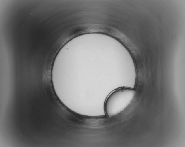 X0000102271185200807250852