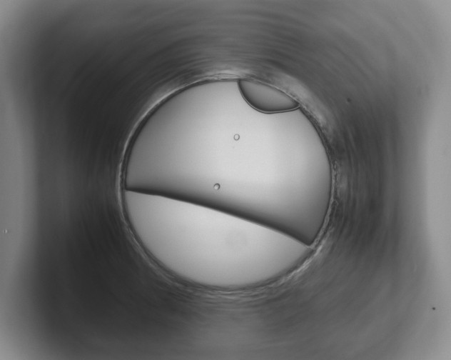 X0000102271186200807250852