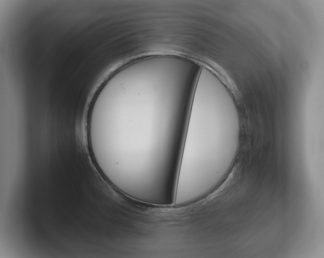 X0000102271188200807250851