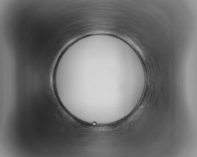X0000102271189200807250851