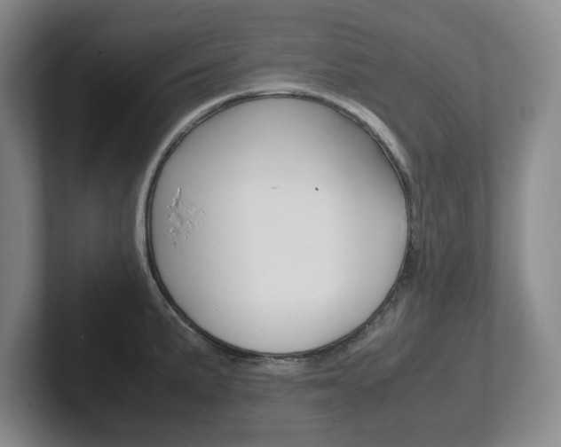 X0000102271191200807250851