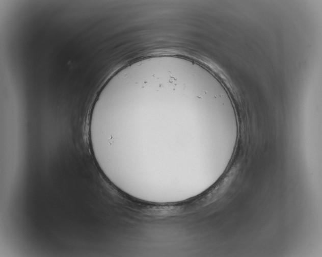 X0000102271193200807250851