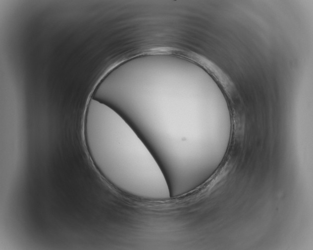 X0000102271194200807250851