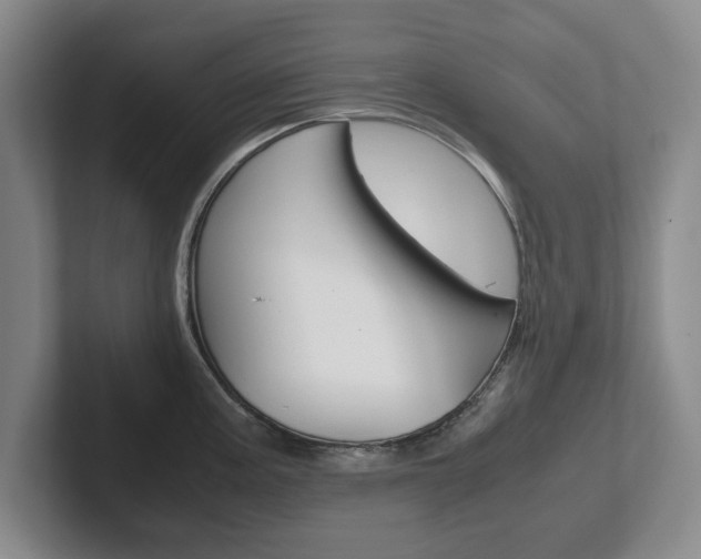 X0000102271195200807250851